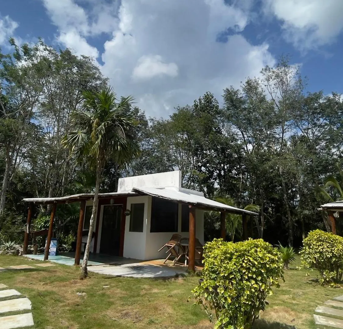 Eco-Cabanas Ya'Ax Bejo' Selva Maya Leona Vicario Mexico